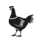 Caisses pour &eacute;quipements de poulets de chair