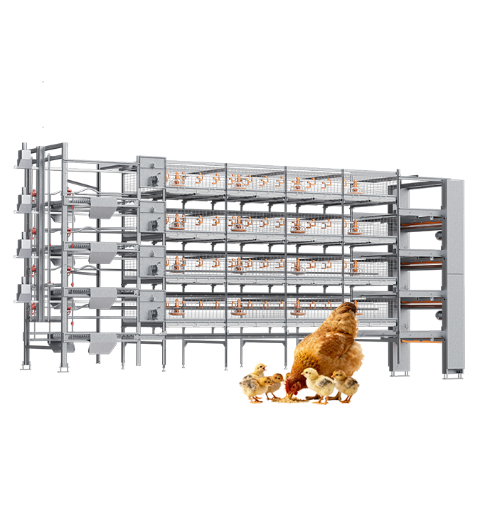 Produits de poulet de chair