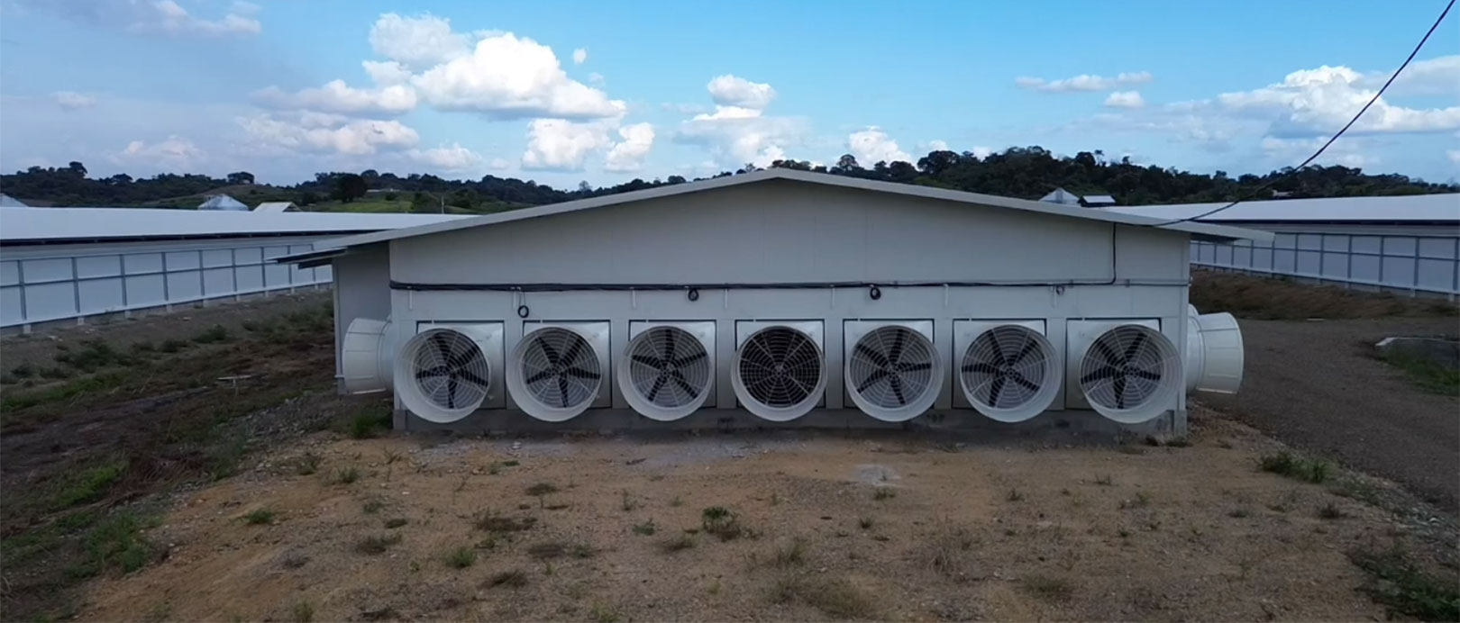 Projet d'&eacute;levage de poulets de chair au sol en &Eacute;quateur