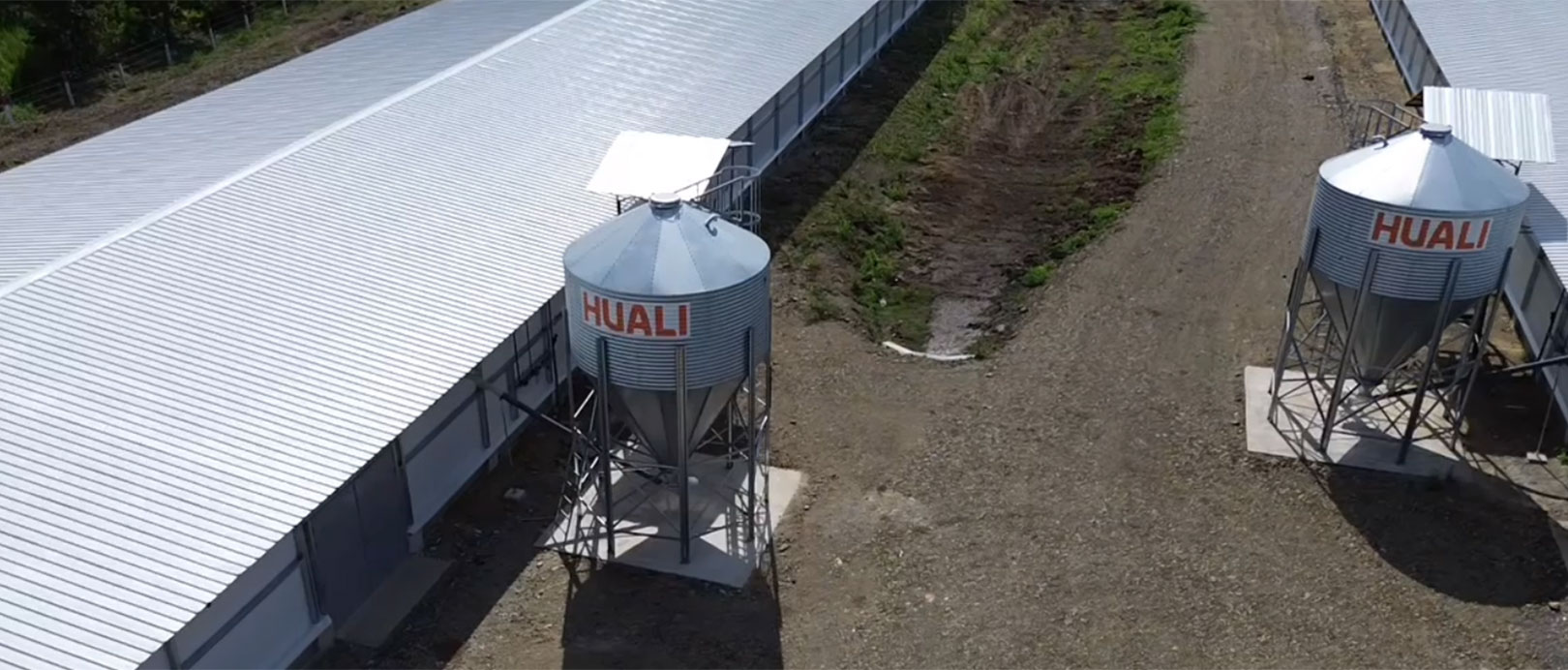 Projet d'&eacute;levage de poulets de chair au sol en &Eacute;quateur