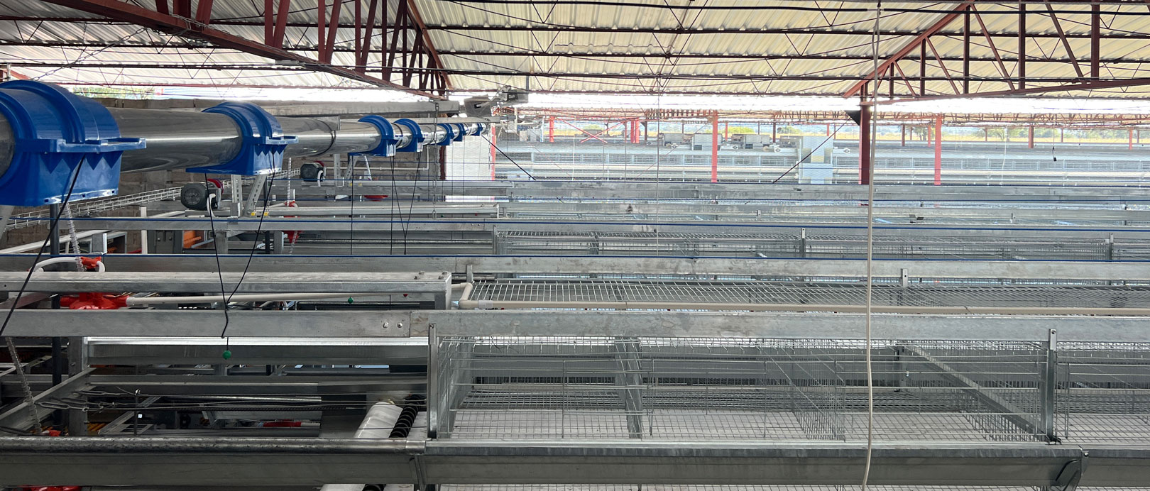 Projet d'&eacute;levage de poules pondeuses en cage au Mexique