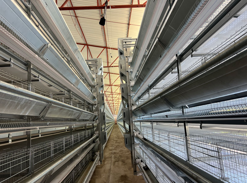 Projet d'élevage de poules pondeuses en cage au Mexique