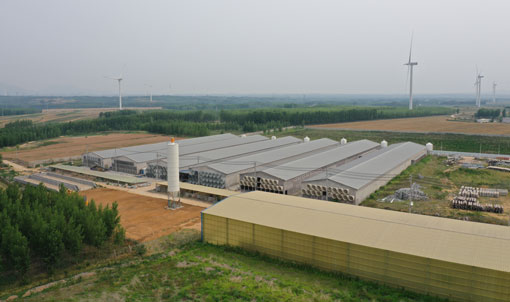 Projet de cages &agrave; poules pondeuses de Qingdao GaoTianRan