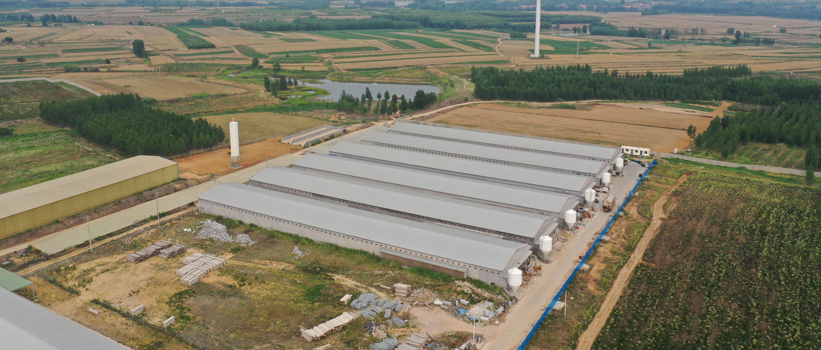 Projet de cages &agrave; poules pondeuses de Qingdao GaoTianRan