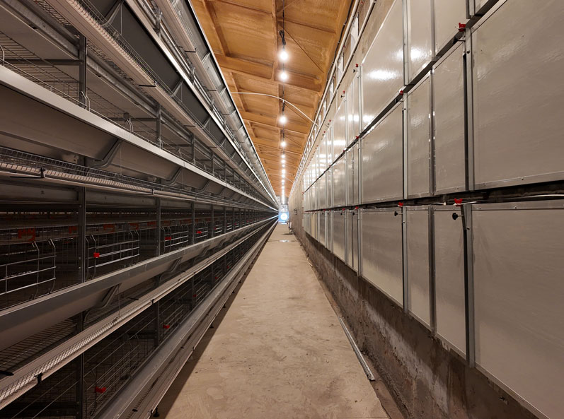 Projet de cages &agrave; poules pondeuses de Qingdao GaoTianRan