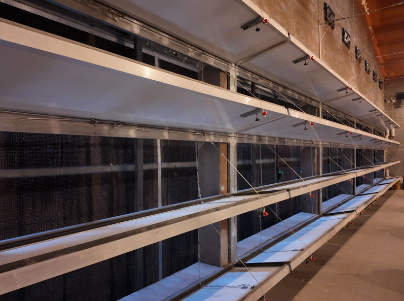Projet de cages &agrave; poules pondeuses de Qingdao GaoTianRan
