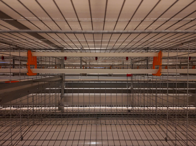 Projet de cages &agrave; poules pondeuses de Qingdao GaoTianRan