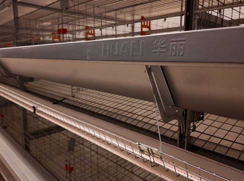 Projet de cages &agrave; poules pondeuses de Qingdao GaoTianRan