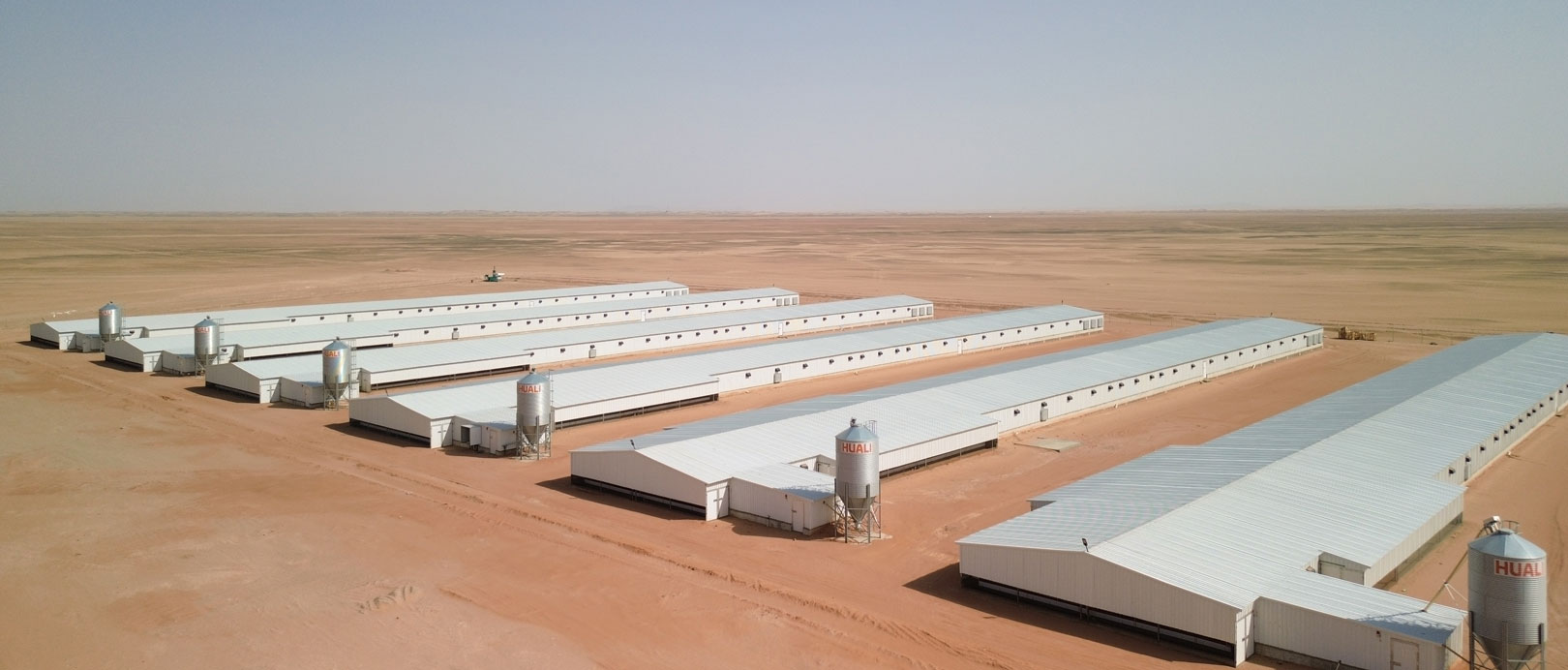 Projet saoudien d'&eacute;levage de poulets de chair au sol