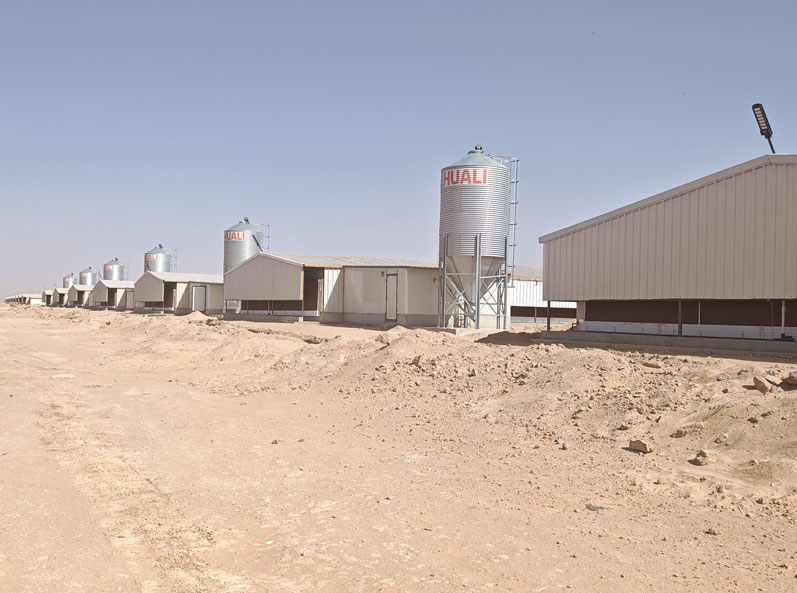 Projet saoudien d'&eacute;levage de poulets de chair au sol