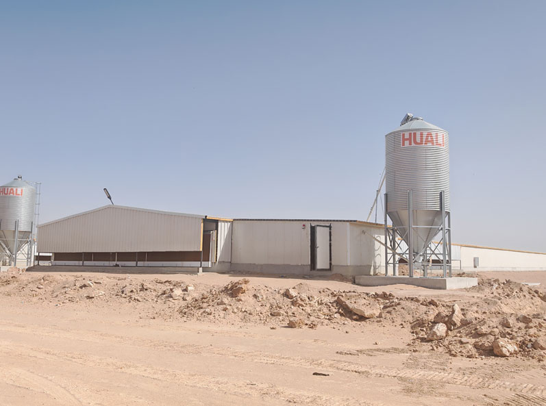 Projet saoudien d'&eacute;levage de poulets de chair au sol