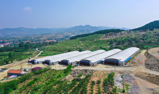 Projet d'&eacute;levage de canards en cage du Shandong
