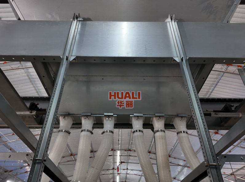 Projet d'élevage de canards en cage du Shandong