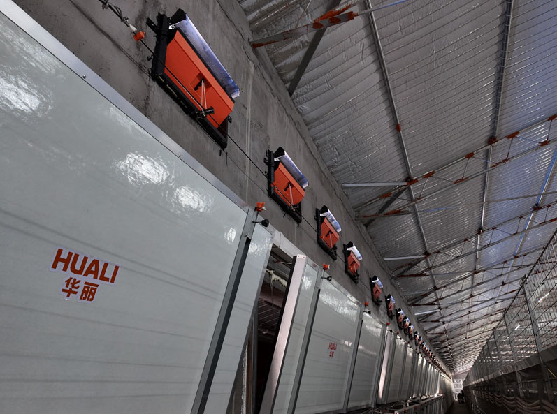Projet d'élevage de canards en cage du Shandong