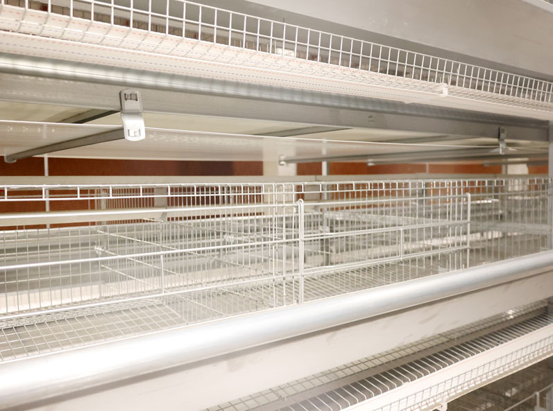 Projet d'&eacute;levage de poules pondeuses en cage en Tha&iuml;lande