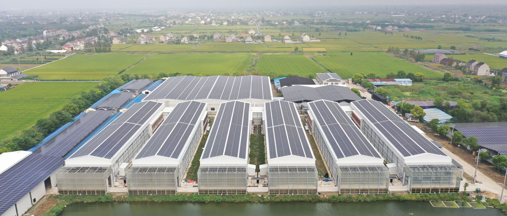 Projet d'&eacute;levage en cage de canards pondeurs de Taixing Shunhe