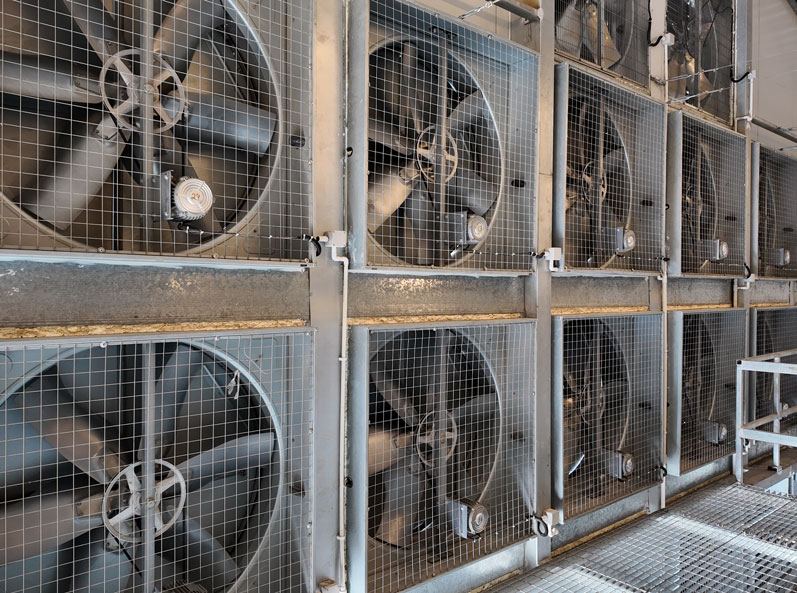 Projet d'&eacute;levage en cage de canards pondeurs de Taixing Shunhe