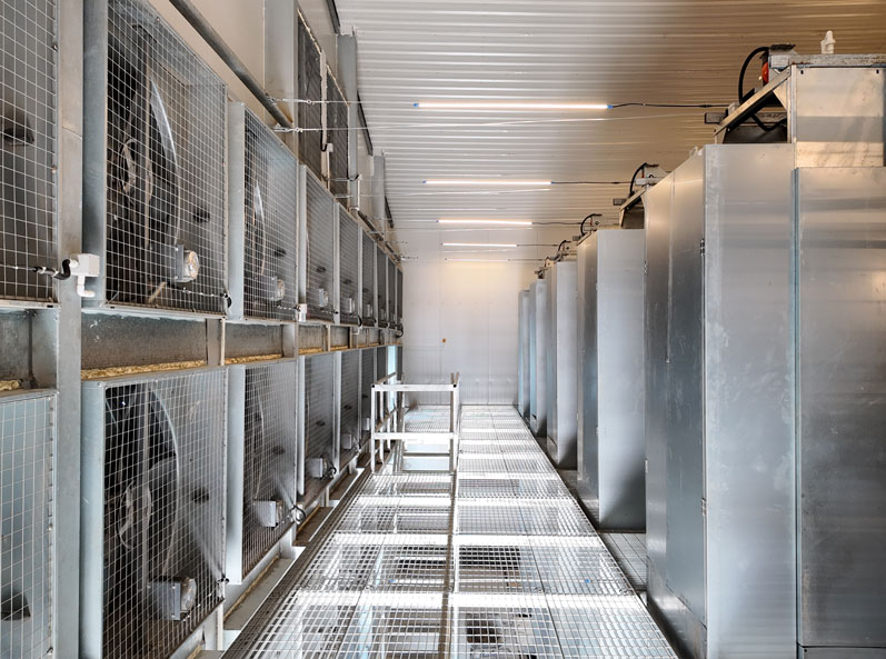 Projet d'&eacute;levage en cage de canards pondeurs de Taixing Shunhe