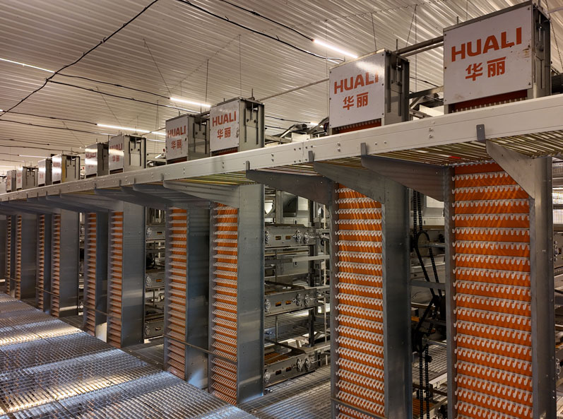 Projet d'&eacute;levage en cage de canards pondeurs de Taixing Shunhe