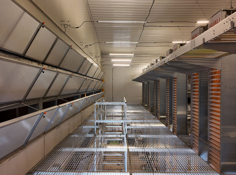 Projet d'&eacute;levage en cage de canards pondeurs de Taixing Shunhe