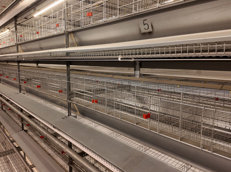 Projet d'&eacute;levage en cage de canards pondeurs de Taixing Shunhe
