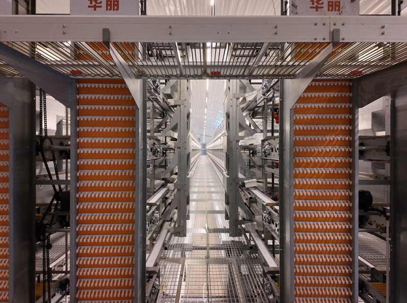 Projet d'&eacute;levage en cage de canards pondeurs de Taixing Shunhe