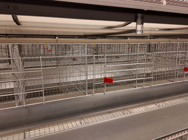 Projet d'&eacute;levage en cage de canards pondeurs de Taixing Shunhe