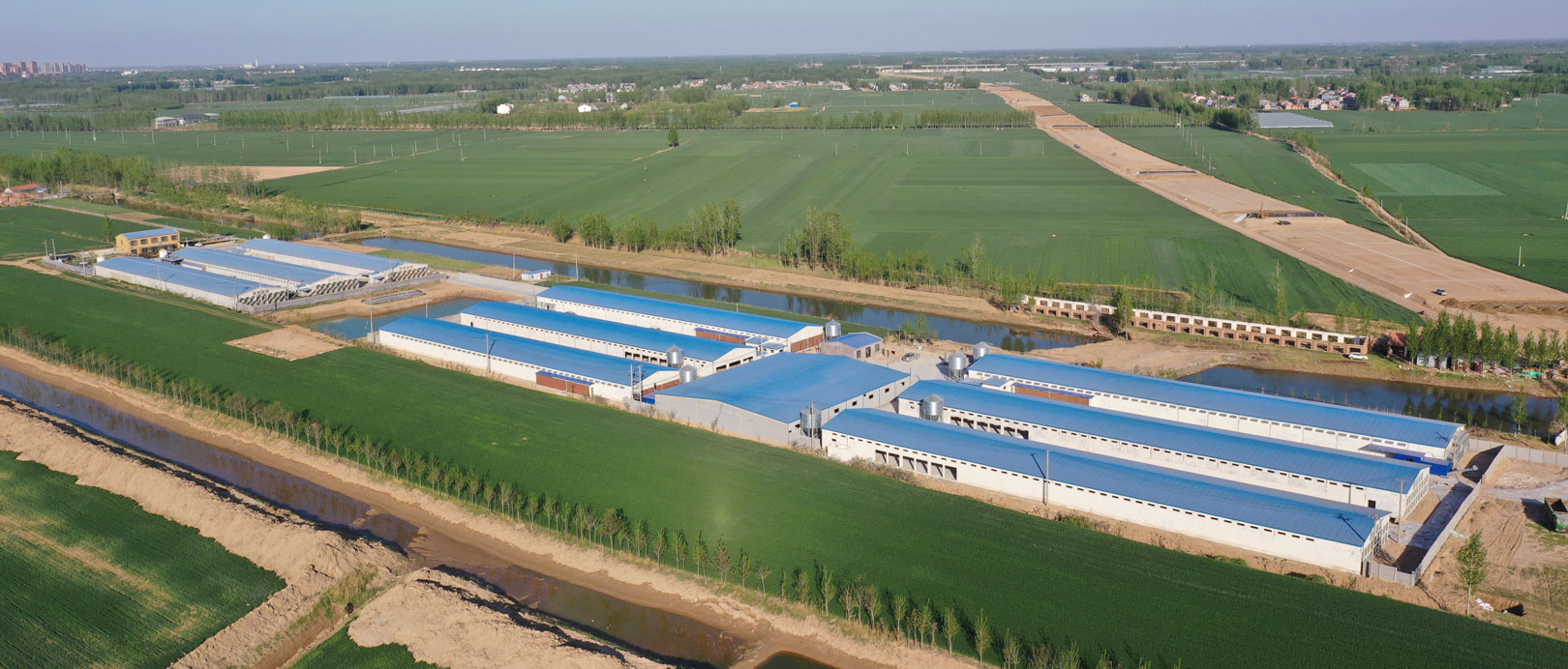 Projet d'&eacute;levage en cage &agrave; couches de TianYuan