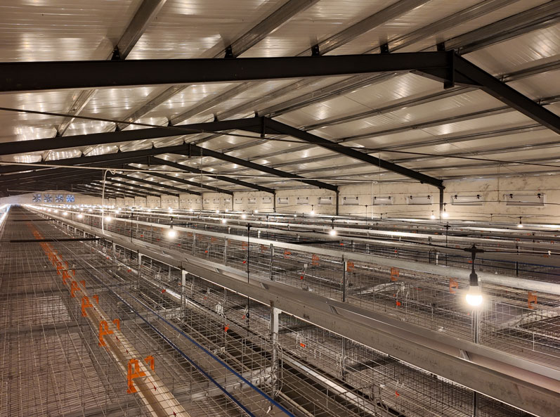 Projet d'élevage en cage à couches de TianYuan