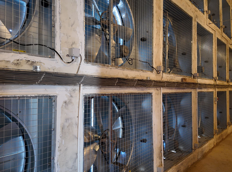 Projet d'élevage en cage à couches de TianYuan