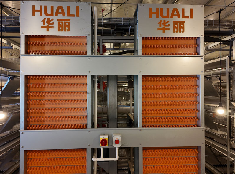 Projet d'élevage en cage à couches de TianYuan