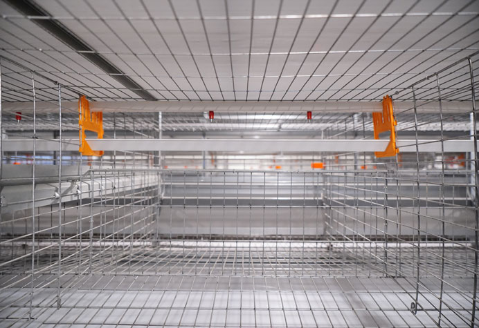 cage &agrave; poules pondeuses