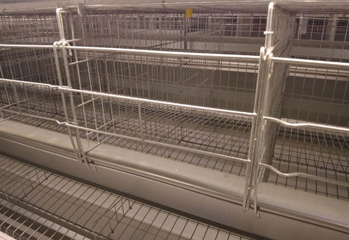 cage &agrave; canards pondeurs