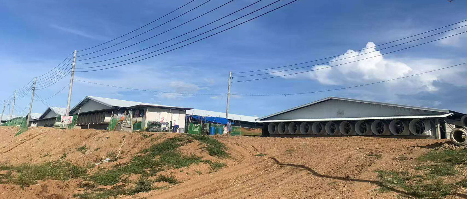 Projet d'&eacute;levage de 3&nbsp;000 truies aux Philippines
