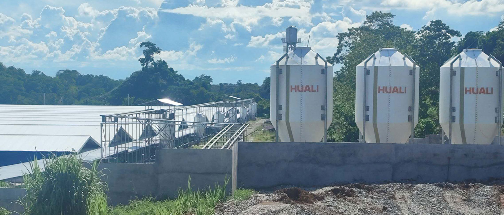 Projet d'&eacute;levage de 3&nbsp;000 truies aux Philippines