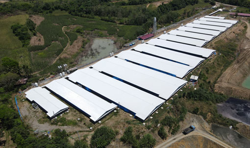 Projet d'&eacute;levage de 3&nbsp;000 truies aux Philippines