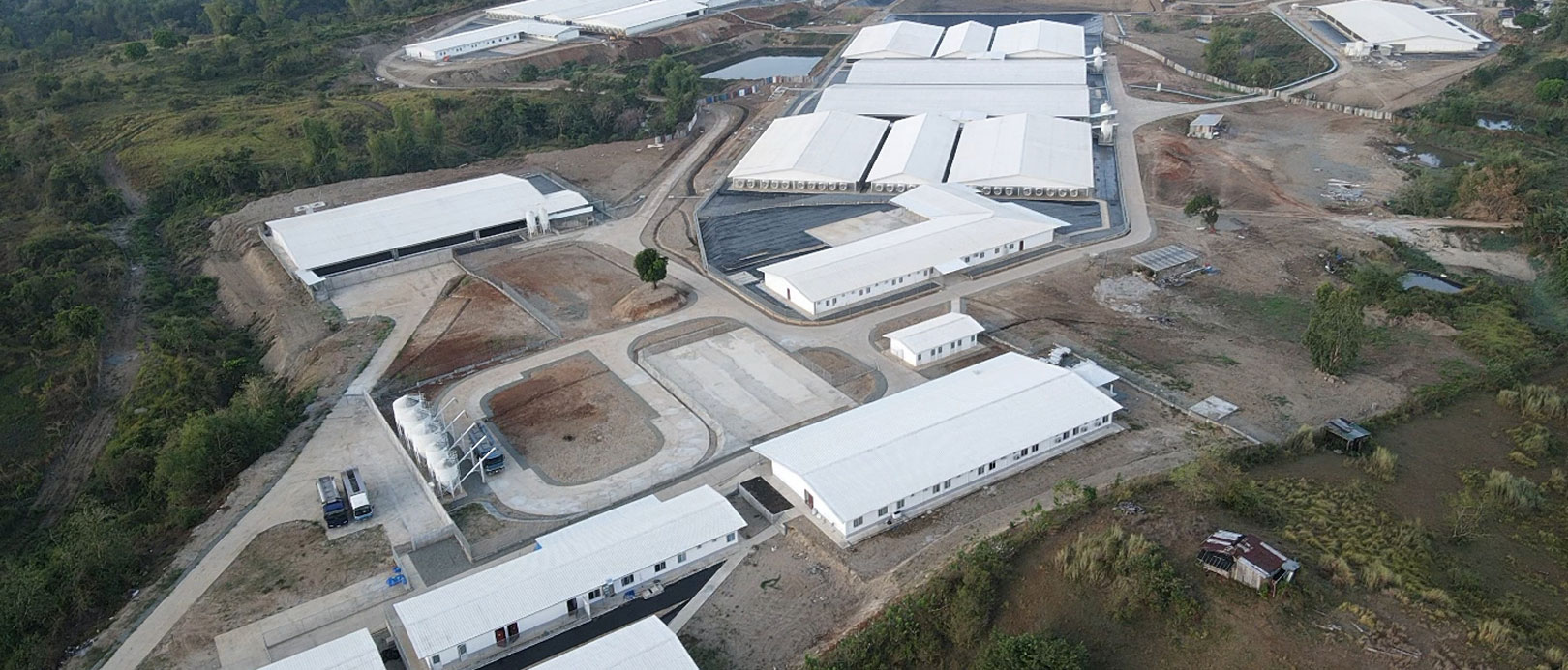 Projet d'&eacute;levage de truies de 5 000 PS aux Philippines