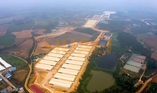 Projet de ferme d'engraissement du Vietnam