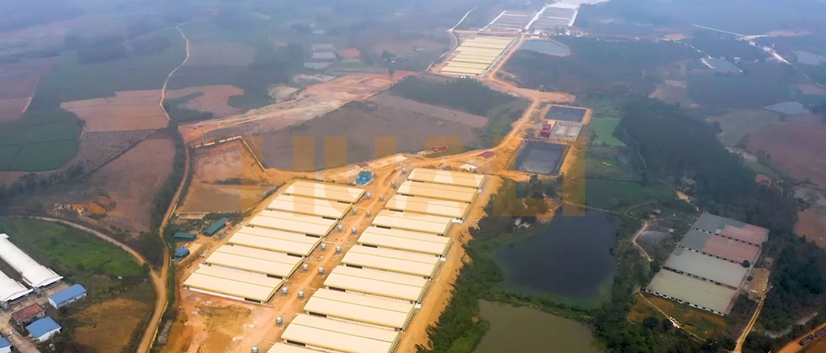 Projet de ferme d'engraissement du Vietnam