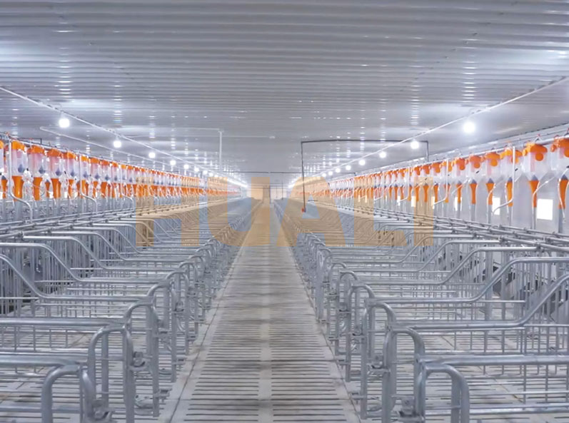 Projet de ferme d'engraissement du Vietnam