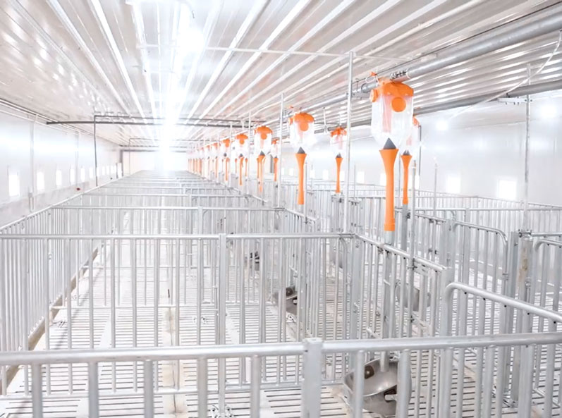 Projet de ferme d'engraissement du Vietnam