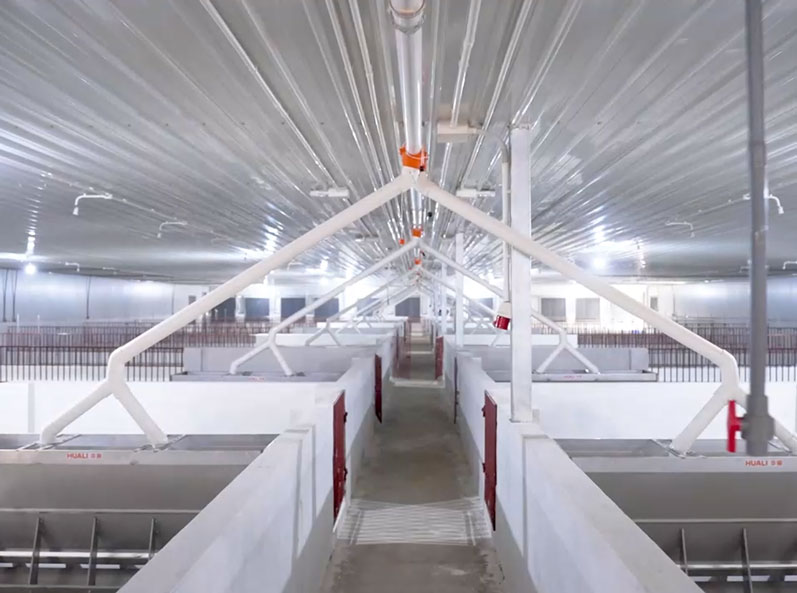 Projet de ferme d'engraissement du Vietnam