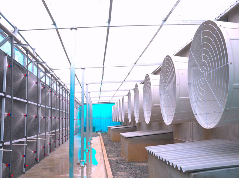 Projet EPC d'&eacute;quipement d'&eacute;levage porcin au Vietnam