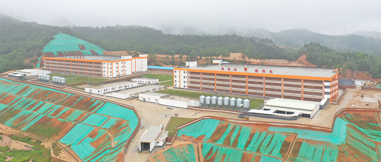 Projet de ferme porcine &agrave; plusieurs &eacute;tages de Guangdong Jinxinnong