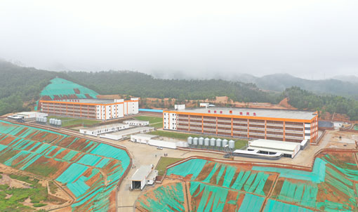 Projet de ferme porcine &agrave; plusieurs &eacute;tages de Guangdong Jinxinnong