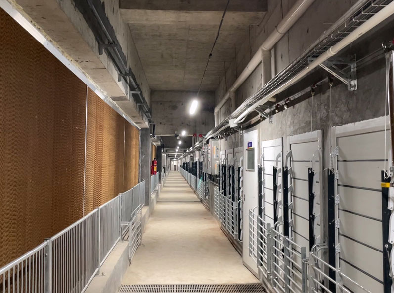 Projet de ferme porcine &agrave; plusieurs &eacute;tages de Guangdong Jinxinnong