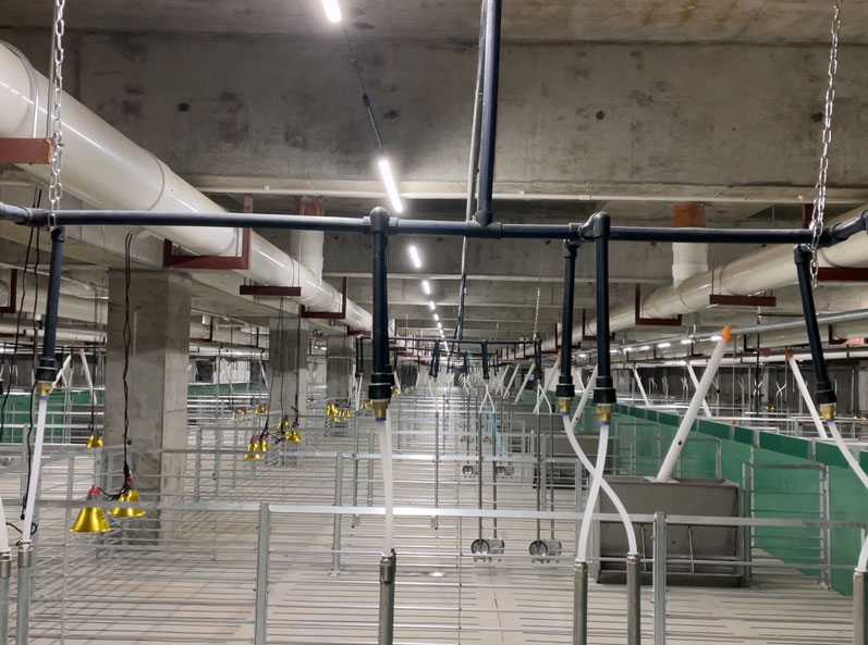 Projet de ferme porcine &agrave; plusieurs &eacute;tages de Guangdong Jinxinnong