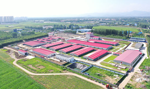 Base exp&eacute;rimentale du projet d'&eacute;levage de l'Universit&eacute; agricole centrale de Zhuozhou, Hebei