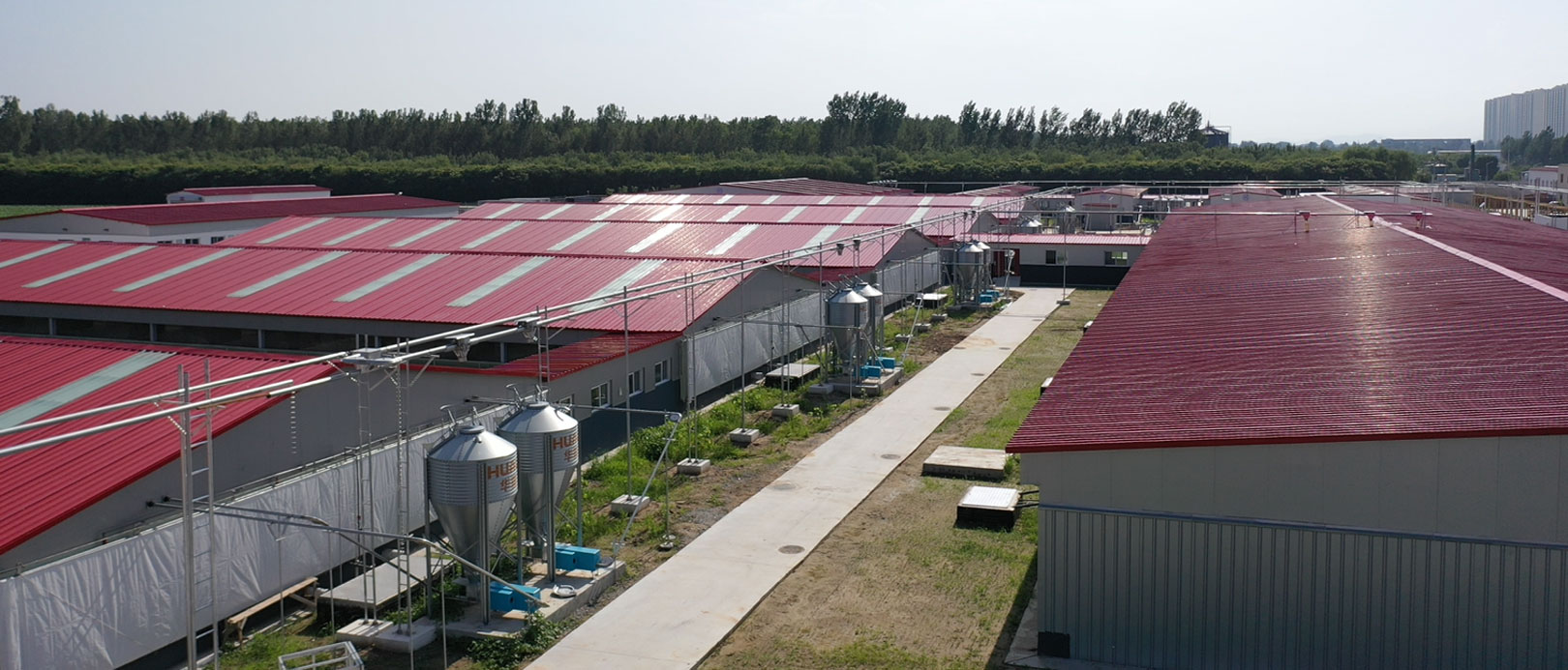 Base exp&eacute;rimentale du projet d'&eacute;levage de l'Universit&eacute; agricole centrale de Zhuozhou, Hebei