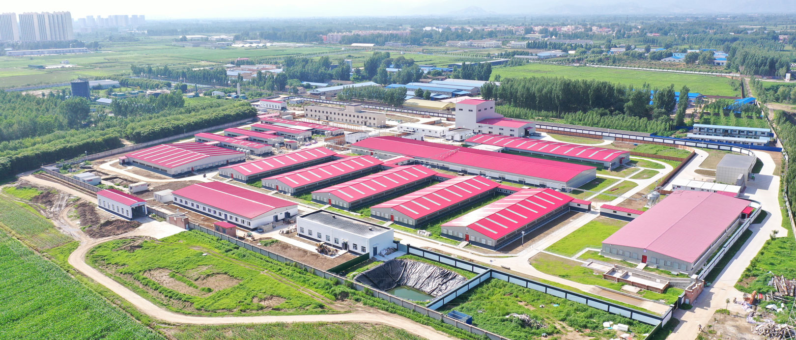 Base exp&eacute;rimentale du projet d'&eacute;levage de l'Universit&eacute; agricole centrale de Zhuozhou, Hebei